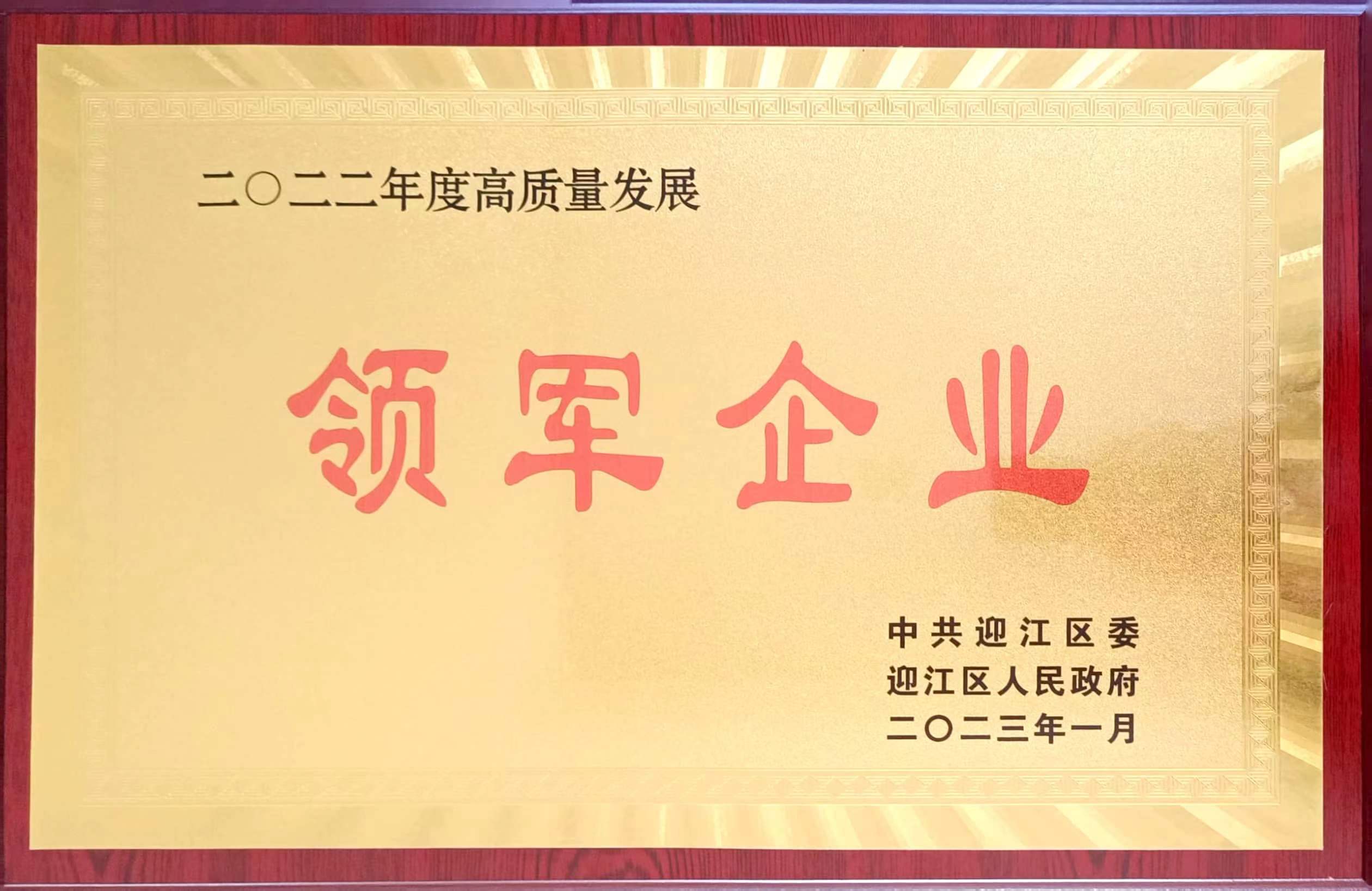 公司在2023年迎江區(qū)高質(zhì)量發(fā)展大會(huì)上被通報(bào)表?yè)P(yáng)